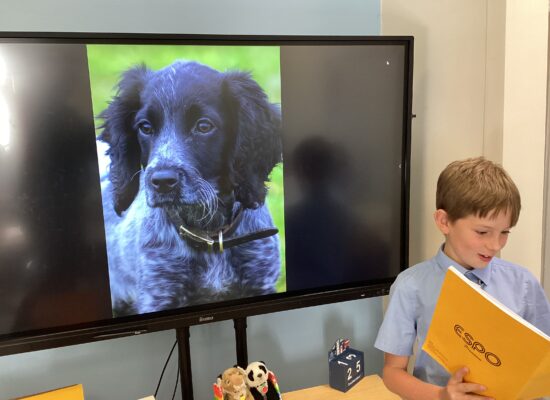 English in Year 5