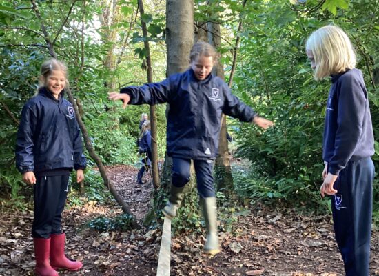 Forest School – Years 5 and 6